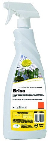Brisa